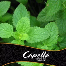 Peppermint (Перечная Мята) - Capella, 5 мл