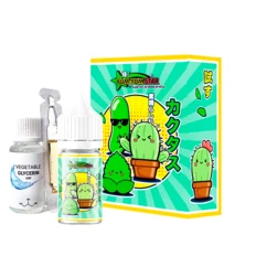 Набір Yum-Yum Star Salt Кактус Огірок М'ята 30ml самозаміс