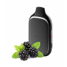 Одноразова Pod Flonq ROQY 40000 850 mAh Blackberry Mint 5% (Ожина + М'ята)