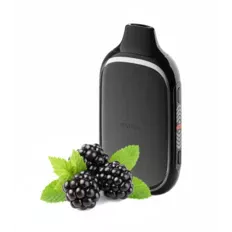 Одноразова Pod Flonq ROQY 40000 850 mAh Blackberry Mint 5% (Ожина + М'ята)
