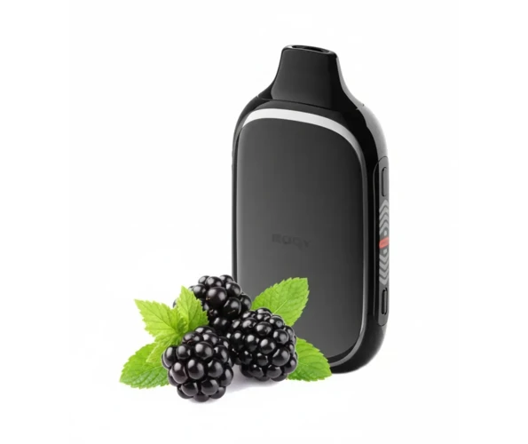 Одноразка Pod Flonq ROQY 40000 850 mAh Blackberry Mint 5% (Ежевика + Мята)