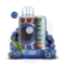 Одноразка Pod Elf Bar TE6000 15 мл 5% (перезаряжаемая) Blueberry (Черника)