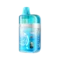 Одноразка Pod Elf Bar BC PRO 40000 Winter Mint 5% (М`ята лід)