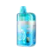 Одноразка Pod Elf Bar BC PRO 40000 Winter Mint 5% (М`ята лід)
