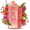 Одноразка Pod Elf Bar BC45000 25 мл Red Raspberry Strawberry 5% (Малина + Клубника)