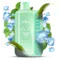 Одноразка Pod Elf Bar BC45000 25 мл Double Mint 5% (Двойная мята)