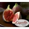Capella Fig (Инжир) - 5 мл