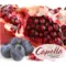 Blueberry-Pomegranate with Stevia( Чернично-Гранатовый Коктель) Capella - 5 мл