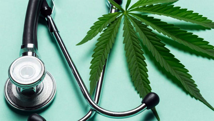 Медицинский канабис. Чем отличается CBD и THC?